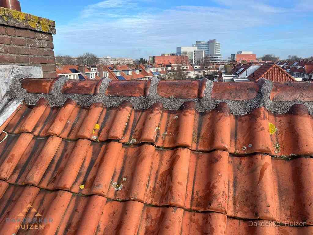 Huizen Daken Renoveren Huizen Daken Renoveren